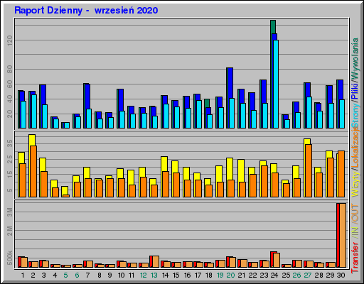 Raport Dzienny -  wrzesień 2020