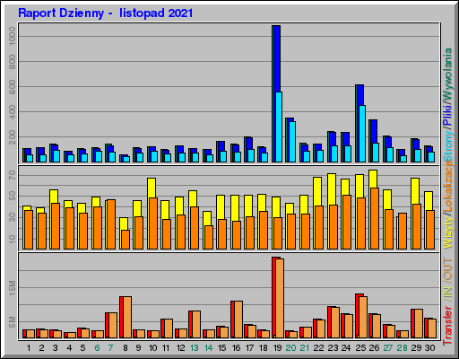 Raport Dzienny -  listopad 2021