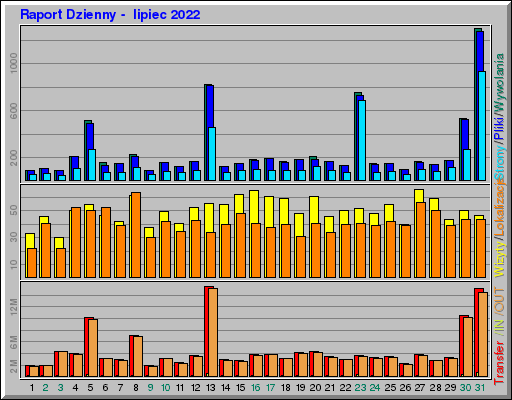 Raport Dzienny -  lipiec 2022