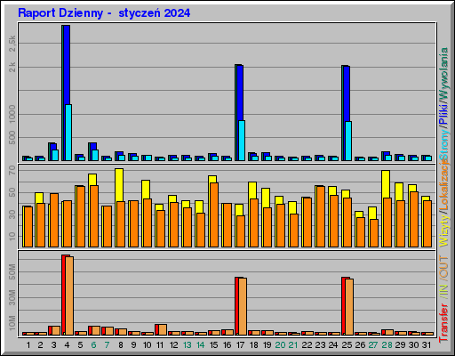 Raport Dzienny -  styczeń 2024