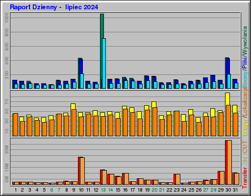 Raport Dzienny -  lipiec 2024