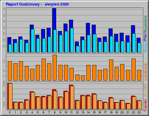 Raport Godzinowy -  sierpień 2020