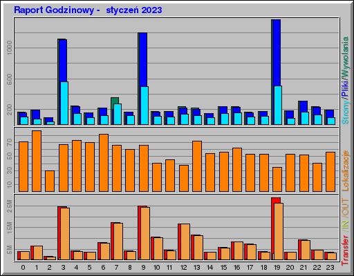 Raport Godzinowy -  styczeń 2023
