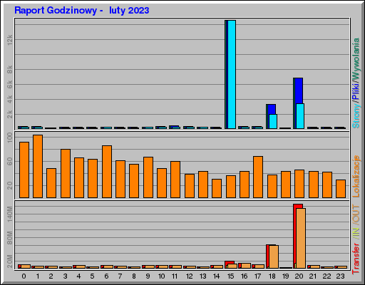 Raport Godzinowy -  luty 2023