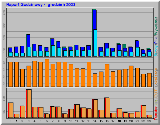 Raport Godzinowy -  grudzień 2023