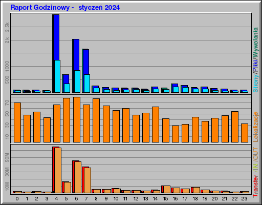 Raport Godzinowy -  styczeń 2024