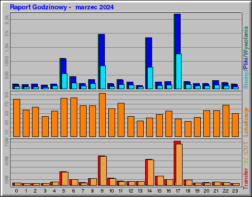 Raport Godzinowy -  marzec 2024