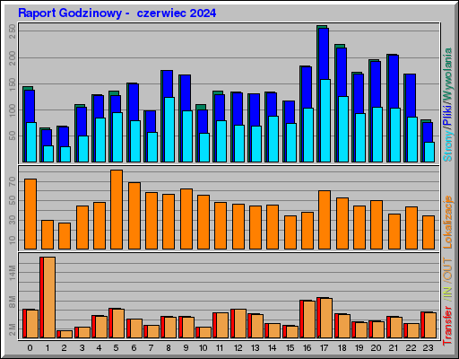 Raport Godzinowy -  czerwiec 2024