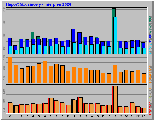 Raport Godzinowy -  sierpień 2024