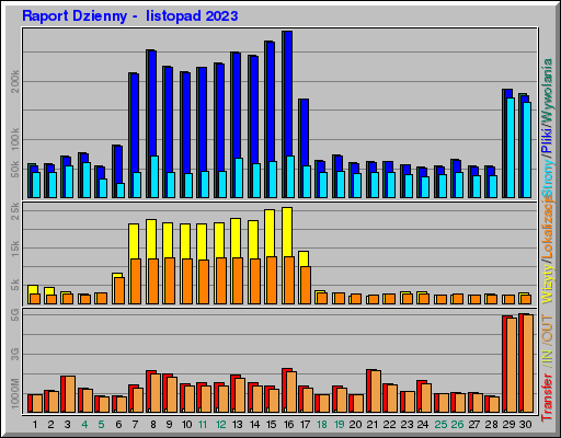 Raport Dzienny -  listopad 2023