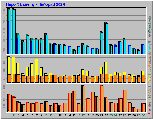 Raport Dzienny - listopad 2024 Raport Dzienny - listopad 2024
