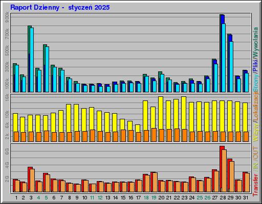 Raport Dzienny - styczeĹ 2025 Raport Dzienny - styczeĹ 2025