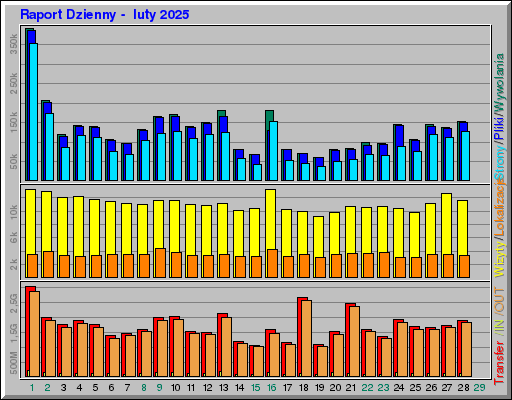 Raport Dzienny - luty 2025 Raport Dzienny - luty 2025