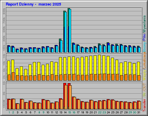 Raport Dzienny -  marzec 2025