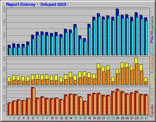 Raport Dzienny -  listopad 2025