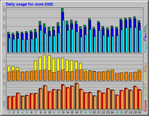 Raport Dzienny -  czerwiec 2022