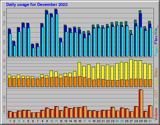 Raport Dzienny -  grudzień 2022