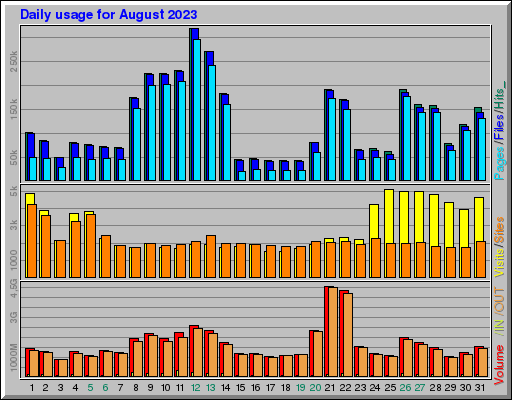 Raport Dzienny -  sierpień 2023