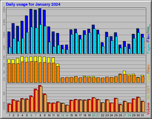 Raport Dzienny -  styczeń 2024