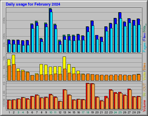 Raport Dzienny -  luty 2024
