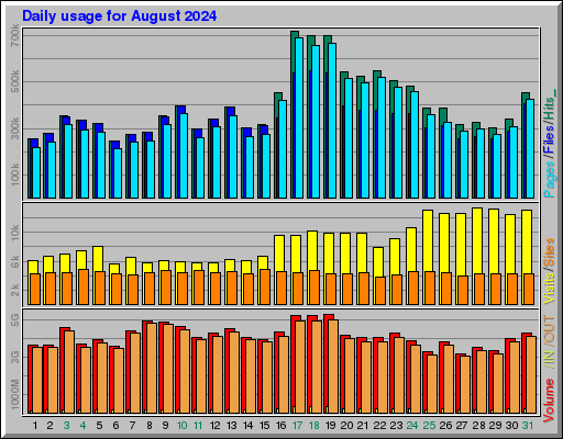 Raport Dzienny -  sierpień 2024