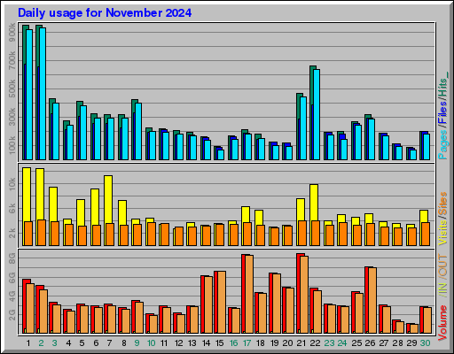 Raport Dzienny -  listopad 2024