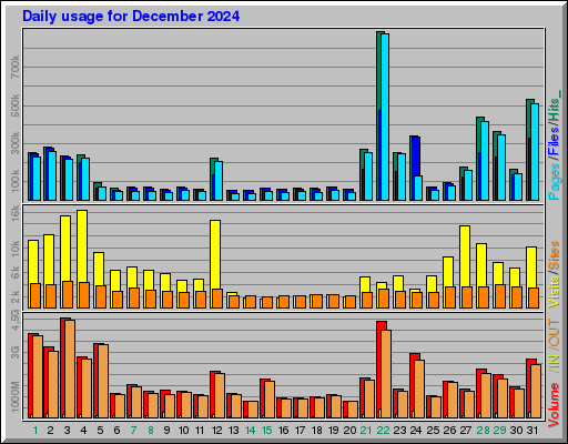 Raport Dzienny -  grudzień 2024