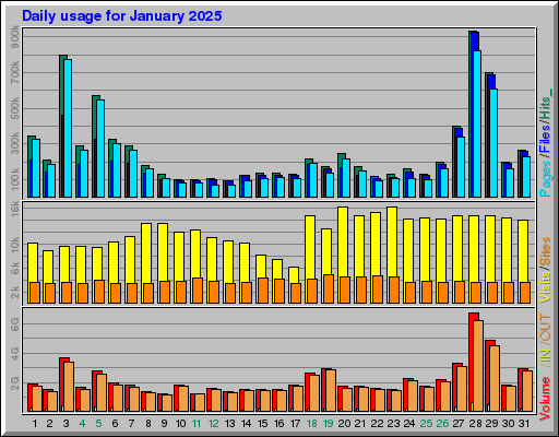Raport Dzienny -  styczeń 2025