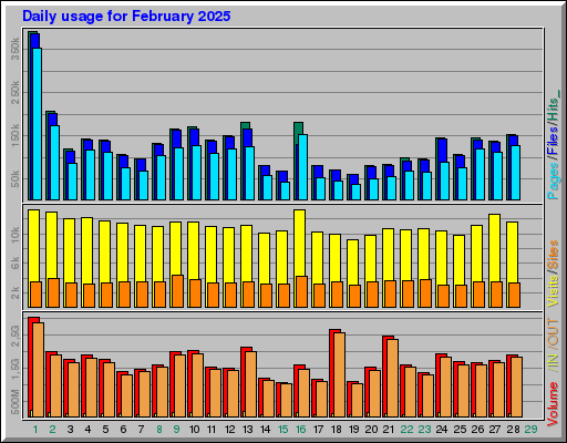 Raport Dzienny -  luty 2025