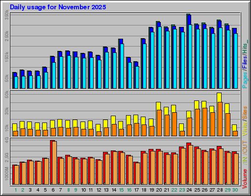 Raport Dzienny -  listopad 2025