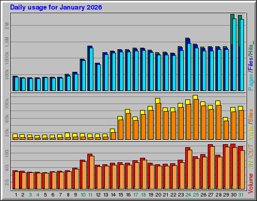Raport Dzienny -  styczeń 2026
