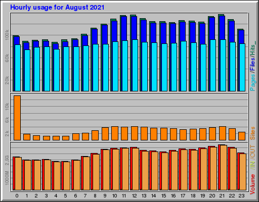 Raport Godzinowy -  sierpień 2021