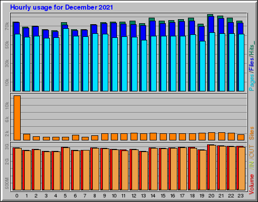Raport Godzinowy -  grudzień 2021