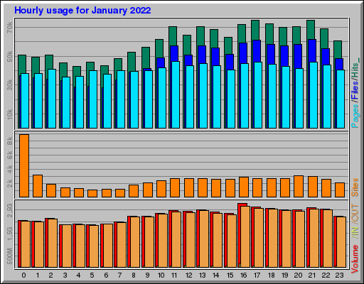 Raport Godzinowy - styczeń 2022 Raport Godzinowy - styczeń 2022