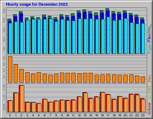 Raport Godzinowy -  grudzień 2022