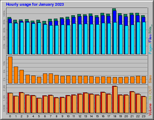Raport Godzinowy -  styczeń 2023