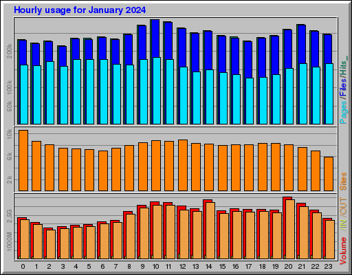 Raport Godzinowy -  styczeń 2024