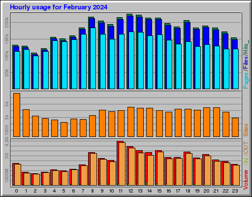 Raport Godzinowy -  luty 2024