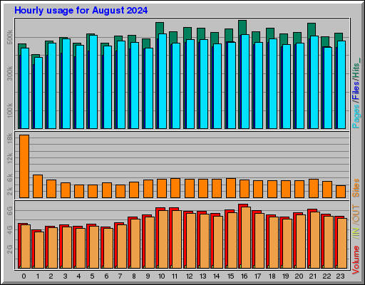 Raport Godzinowy -  sierpień 2024