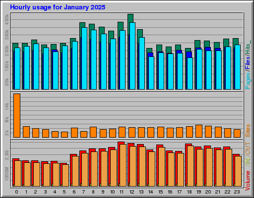 Raport Godzinowy -  styczeń 2025
