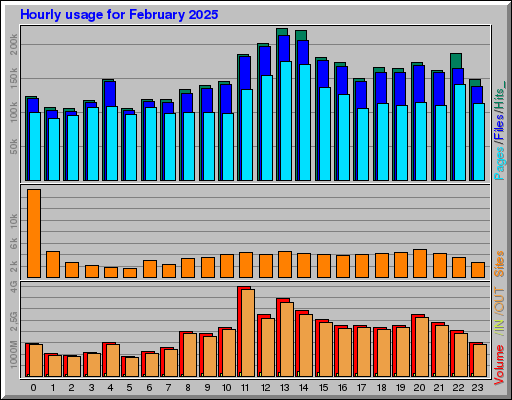 Raport Godzinowy - luty 2025 Raport Godzinowy - luty 2025