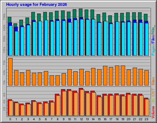 Raport Godzinowy -  luty 2026