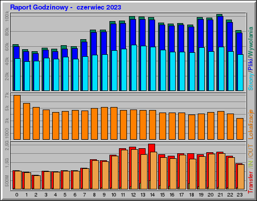 Raport Godzinowy -  czerwiec 2023