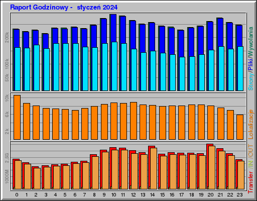 Raport Godzinowy -  styczeń 2024
