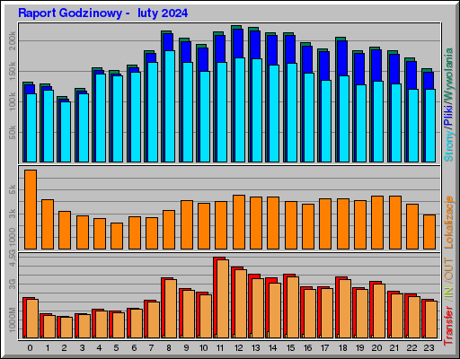 Raport Godzinowy - luty 2024 Raport Godzinowy - luty 2024