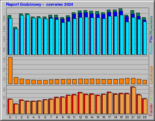 Raport Godzinowy -  czerwiec 2024