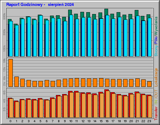 Raport Godzinowy -  sierpień 2024