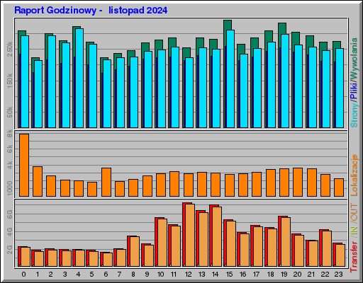 Raport Godzinowy -  listopad 2024