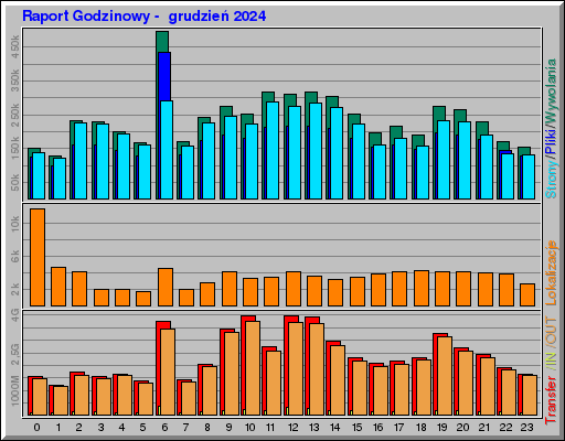 Raport Godzinowy -  grudzień 2024