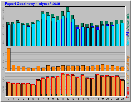 Raport Godzinowy -  styczeń 2025